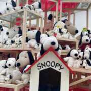 ヒメ日記 2025/08/11 00:06 投稿 せな ごほうびSPA横浜店