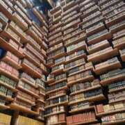 ヒメ日記 2025/08/11 22:24 投稿 せな ごほうびSPA横浜店