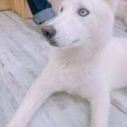 ヒメ日記 2025/09/22 21:24 投稿 せな ごほうびSPA横浜店