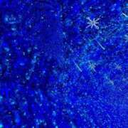 ヒメ日記 2025/10/06 12:44 投稿 せな ごほうびSPA横浜店