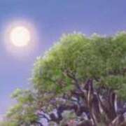 ヒメ日記 2025/11/20 18:16 投稿 せな ごほうびSPA横浜店