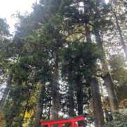 ヒメ日記 2025/11/23 22:20 投稿 せな ごほうびSPA横浜店