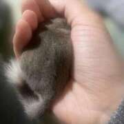 ヒメ日記 2025/12/23 22:34 投稿 せな ごほうびSPA横浜店