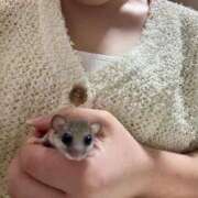 ヒメ日記 2026/02/16 20:34 投稿 せな ごほうびSPA横浜店