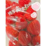 ヒメ日記 2025/05/12 23:04 投稿 つき 桃李（とうり）