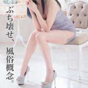 ヒメ日記 2025/12/10 12:31 投稿 らむね・SP アニバーサリー