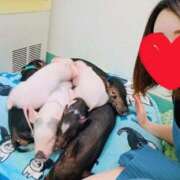 ヒメ日記 2025/08/01 16:16 投稿 菜々子（ななこ） 人妻の蜜