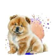 ヒメ日記 2025/08/03 18:37 投稿 菜々子（ななこ） 人妻の蜜