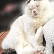 ヒメ日記 2026/03/09 23:11 投稿 菜々子（ななこ） 人妻の蜜