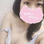 ヒメ日記 2025/04/10 18:09 投稿 いちご【抜群くびれS級美人妻】 One More 奥様 新宿店