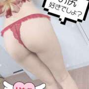 ヒメ日記 2025/04/11 10:04 投稿 いちご【抜群くびれS級美人妻】 One More 奥様 新宿店