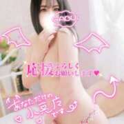 ヒメ日記 2025/10/29 16:22 投稿 いちご【抜群くびれS級美人妻】 One More 奥様 新宿店