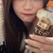 むぎ ありがとう〜 ぽちゃカワ女子専門店 上野御徒町店