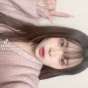 ヒメ日記 2025/04/04 15:08 投稿 さらん OKINI八王子