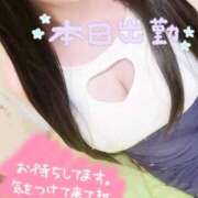 美麗 出勤❤️ ZERO-i