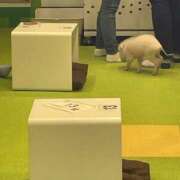 ヒメ日記 2025/05/10 15:41 投稿 まゆり 熟女の風俗最終章 宇都宮店