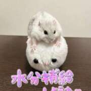 ヒメ日記 2026/07/10 14:14 投稿 みゆう 人妻熟女奉仕倶楽部