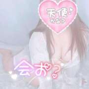 ヒメ日記 2025/04/02 19:21 投稿 めいり 奥様特急長岡店