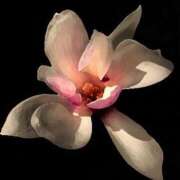 高城澪 こんにちは 青山ヴェルグ