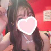 ヒメ日記 2025/04/10 10:01 投稿 マリン【〇〇の激推し美女♡】 バニーコレクション 中洲店