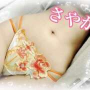 ヒメ日記 2025/03/30 11:55 投稿 さやか 池袋デリヘル倶楽部