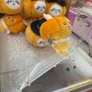 さやか 16:30- 池袋デリヘル倶楽部