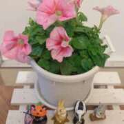 ヒメ日記 2025/07/08 20:41 投稿 ひまり WOWOW UENO HEALTH STATION