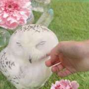 ヒメ日記 2025/08/24 17:06 投稿 ひまり WOWOW UENO HEALTH STATION