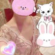 ヒメ日記 2025/09/03 02:43 投稿 ひまり WOWOW UENO HEALTH STATION