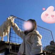 ヒメ日記 2025/11/24 22:09 投稿 ひまり WOWOW UENO HEALTH STATION