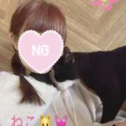 ヒメ日記 2026/01/01 19:58 投稿 ひまり WOWOW UENO HEALTH STATION