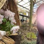 ヒメ日記 2026/01/04 14:50 投稿 ひまり WOWOW UENO HEALTH STATION