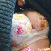 ヒメ日記 2025/04/03 12:45 投稿 かな 西船人妻花壇