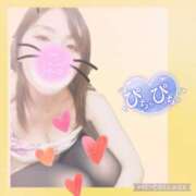 ヒメ日記 2025/04/08 12:07 投稿 かな 西船人妻花壇