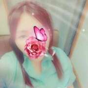 ヒメ日記 2025/04/15 15:20 投稿 かな 西船人妻花壇