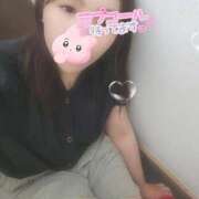 ヒメ日記 2025/04/18 12:18 投稿 かな 西船人妻花壇