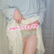 ヒメ日記 2025/05/04 13:04 投稿 かな 西船人妻花壇