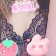 ヒメ日記 2025/05/07 11:55 投稿 かな 西船人妻花壇