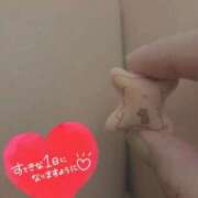 ヒメ日記 2025/05/28 15:01 投稿 かな 西船人妻花壇