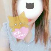 ヒメ日記 2025/07/13 08:53 投稿 かな 西船人妻花壇