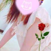 ヒメ日記 2025/07/17 22:21 投稿 かな 西船人妻花壇