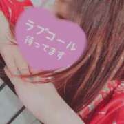 ヒメ日記 2025/07/18 09:03 投稿 かな 西船人妻花壇