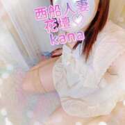 ヒメ日記 2025/07/20 22:08 投稿 かな 西船人妻花壇