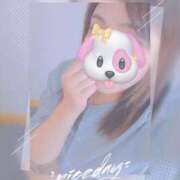 ヒメ日記 2025/08/16 13:50 投稿 かな 西船人妻花壇