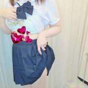 ヒメ日記 2025/08/26 10:10 投稿 かな 西船人妻花壇