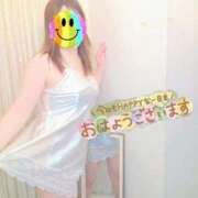 ヒメ日記 2025/09/16 08:51 投稿 かな 西船人妻花壇