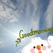 ヒメ日記 2025/10/07 09:44 投稿 かな 西船人妻花壇