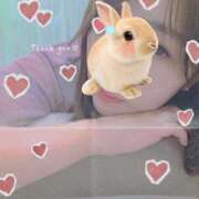 ヒメ日記 2025/11/24 09:10 投稿 かな 西船人妻花壇