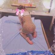 ヒメ日記 2025/11/27 22:31 投稿 かな 西船人妻花壇