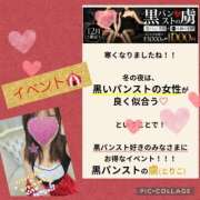 かな 12/12と12/13出勤のイベントは🎪 西船人妻花壇